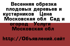 Весенняя обрезка плодовых деревьев и кустарников › Цена ­ 500 - Московская обл. Сад и огород » Услуги   . Московская обл.